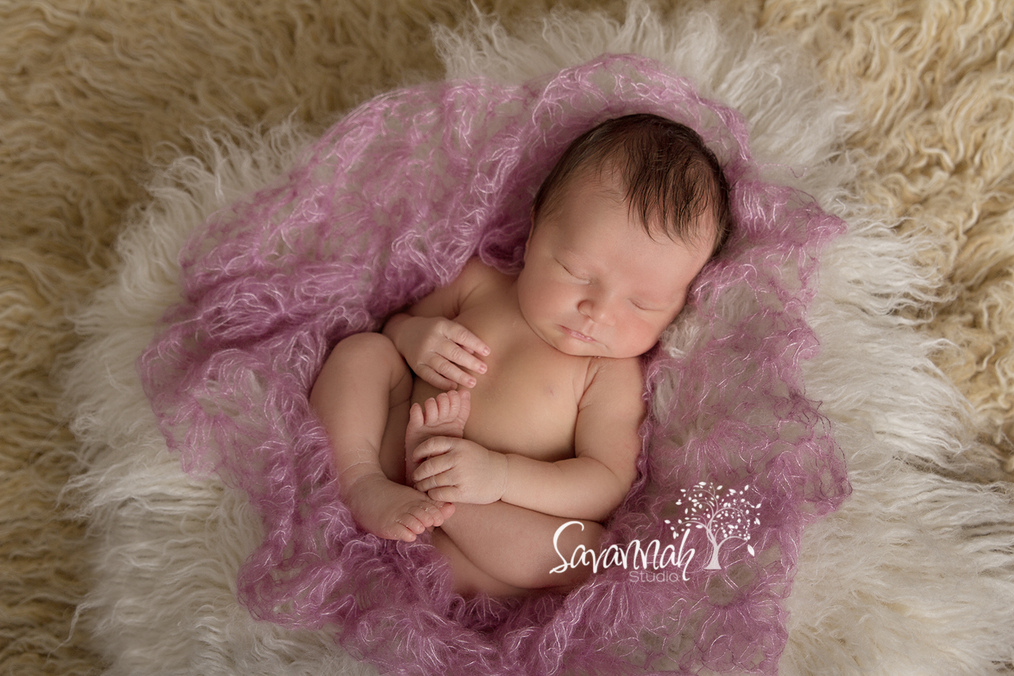 savannahstudio-cairns-family-baby-maternity-newborn-photographer-38